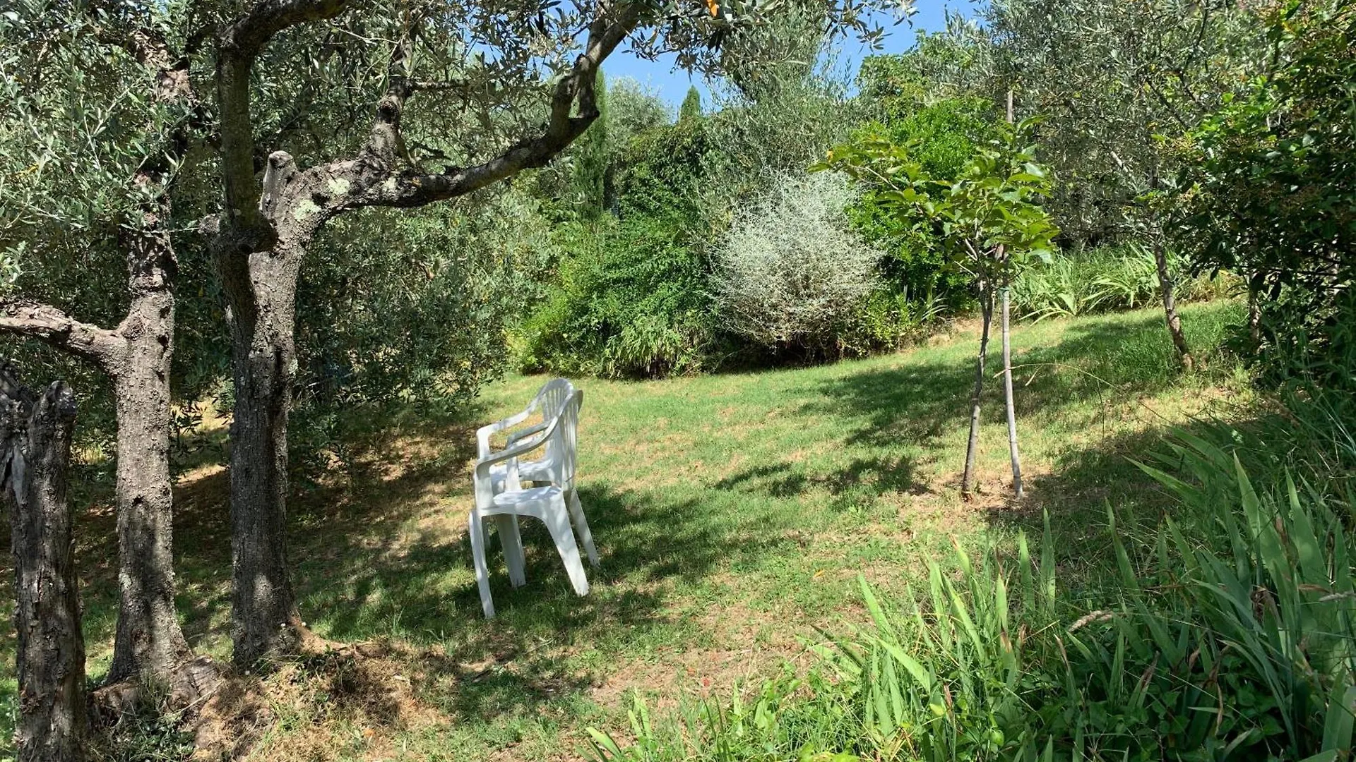 וולטרה Podere Casallorto 0*,  איטליה